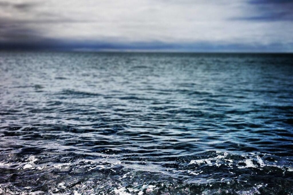 Ut neque aut distinctio expedita voluptas nihil